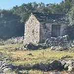 Centenary Goose Korčula