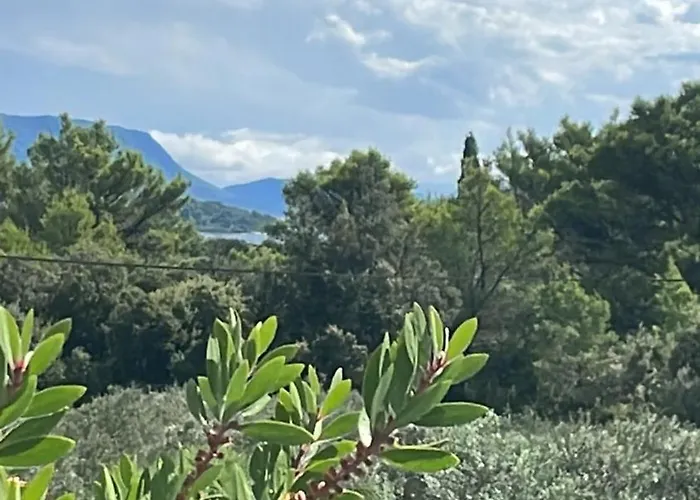 Centenary Goose 别墅