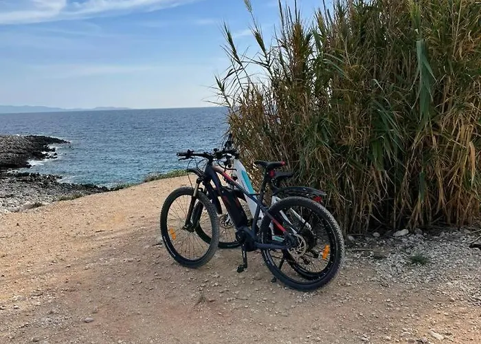 Villa Centenary Goose