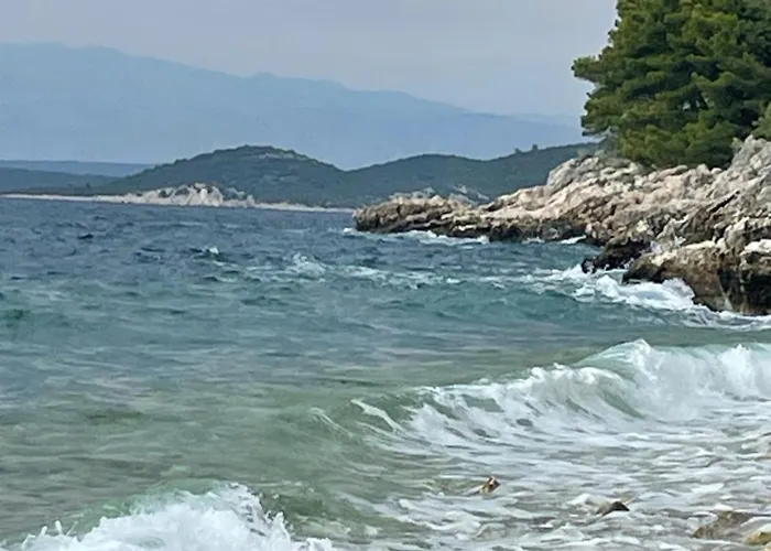 Villa Centenary Goose Korčula