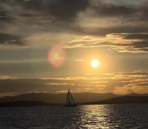 Villa Centenary Goose