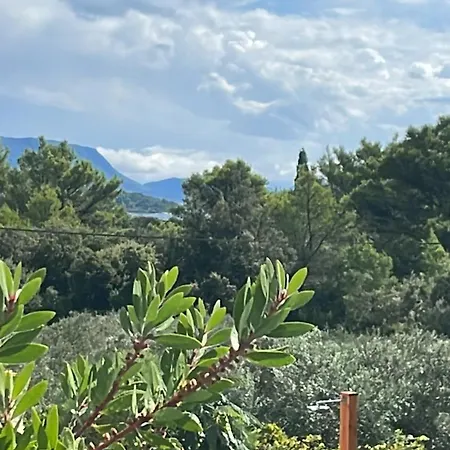 Centenary Goose Βίλα