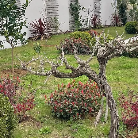 别墅 Centenary Goose