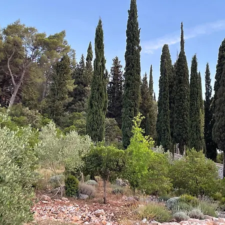 Centenary Goose * Κόρτσουλα