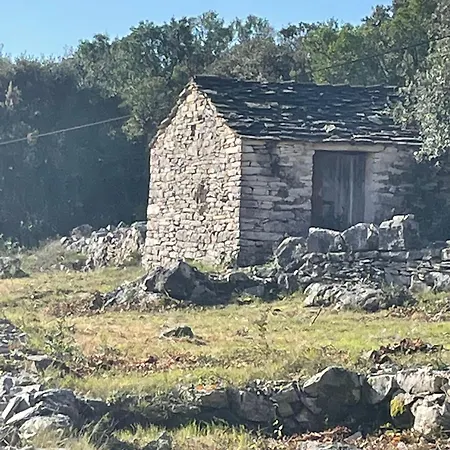 Centenary Goose Κόρτσουλα