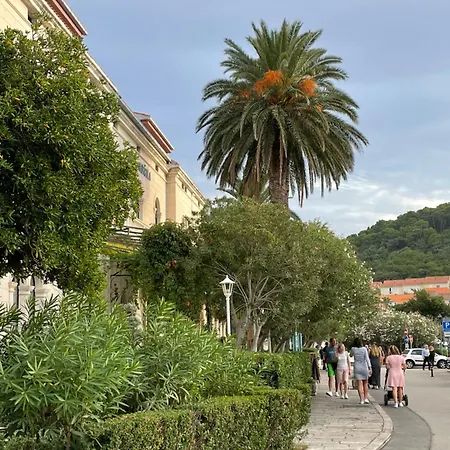 别墅 Centenary Goose *