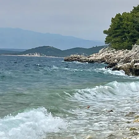 Vila Centenary Goose Korčula