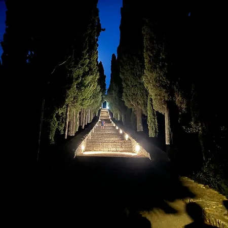 Centenary Goose 别墅 科尔丘拉