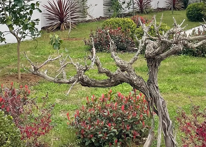 Willa Centenary Goose