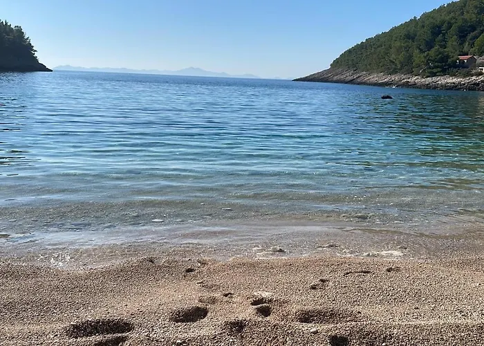 Centenary Goose Willa Korčula