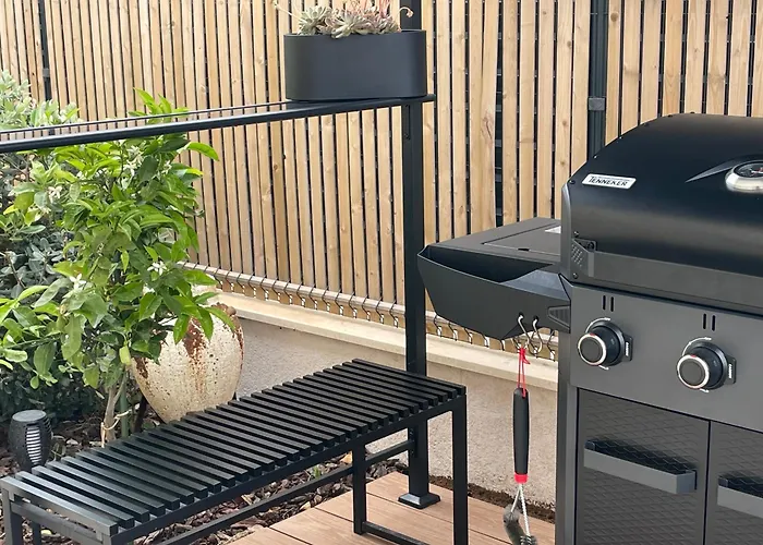 Centenary Goose * Korčula