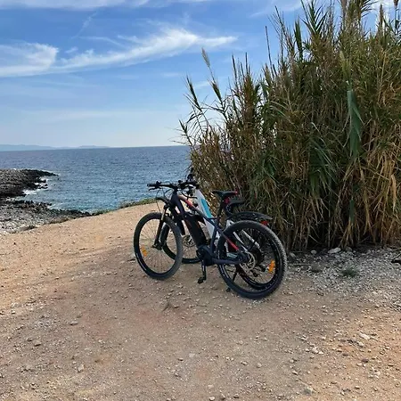 فيلة Centenary Goose