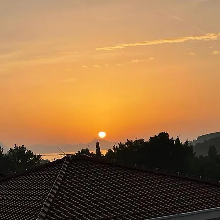 فيلة Centenary Goose