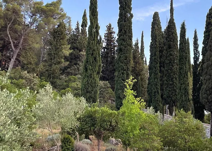 Centenary Goose * Korčula