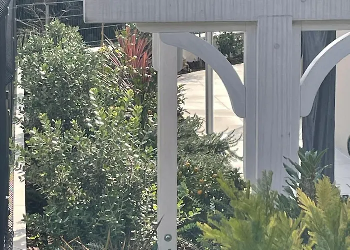 Centenary Goose * Korčula